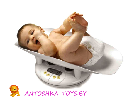 Весы Ves Electric